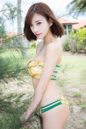 枫与铃在线看