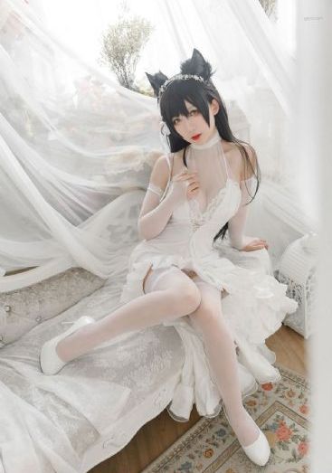 法医秦明张若昀版